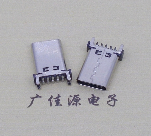 TYPE-C10p立貼母座